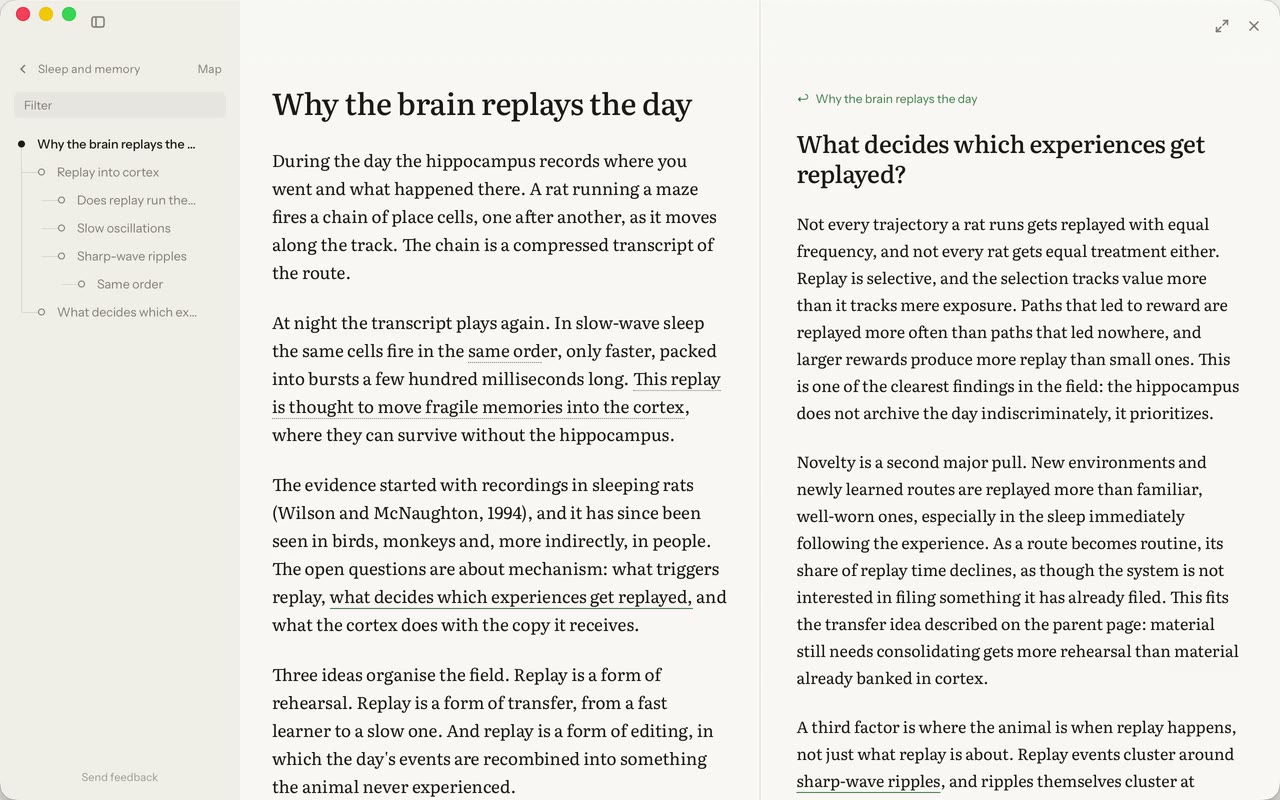The Nested window. A tree of pages in the sidebar on the left, and on the right the page Why the brain replays the day, set in a single reading column.